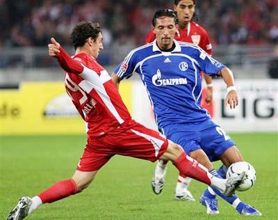 们带来的不 们带来的不